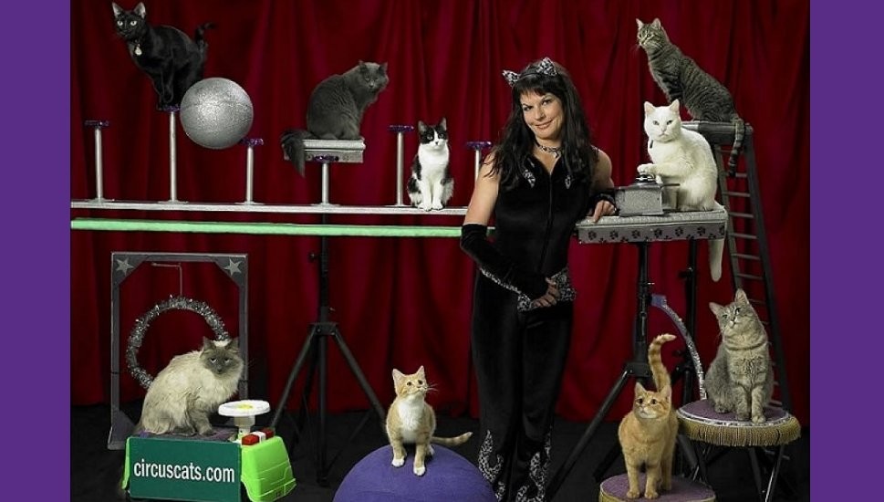 Cast photo for The Acro-Cats